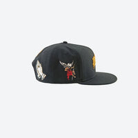 Gorra DGK Aces