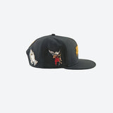 Gorra DGK Aces