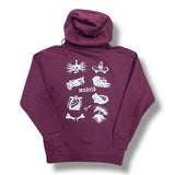 Sudadera capucha Paradis Torn Logo granate