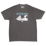 Camiseta Theoris Life after death faded black
