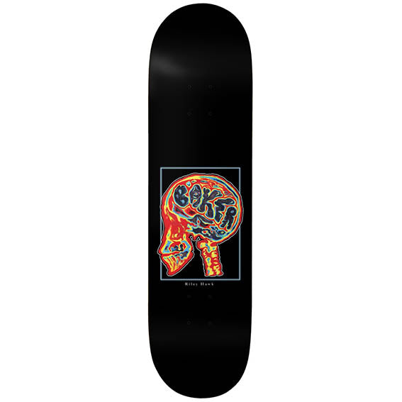 Baker Hawk Brain Donor 8.5"