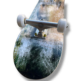 Completo Paradis Aiwass 8"